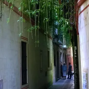 Calle 9 Appartement